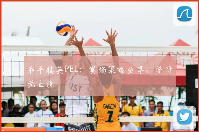 和平精英PEL：赛场策略分享，学习无止境