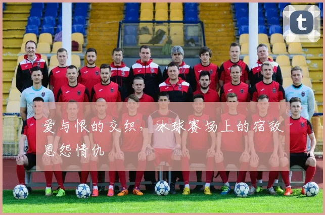 爱与恨的交织,冰球赛场上的宿敌恩怨情仇