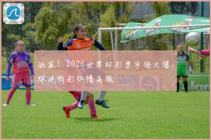 独家!2026世界杯彩票市场火爆,球迷购彩热情高涨