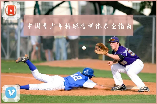 中国青少年排球培训体系全指南