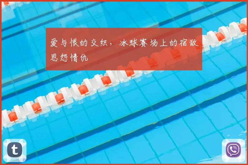 爱与恨的交织，冰球赛场上的宿敌恩怨情仇