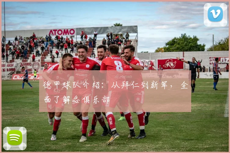 德甲球队介绍：从拜仁到新军，全面了解各俱乐部