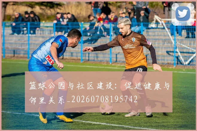 篮球公园与社区建设:促进健康与邻里关系_20260708195742